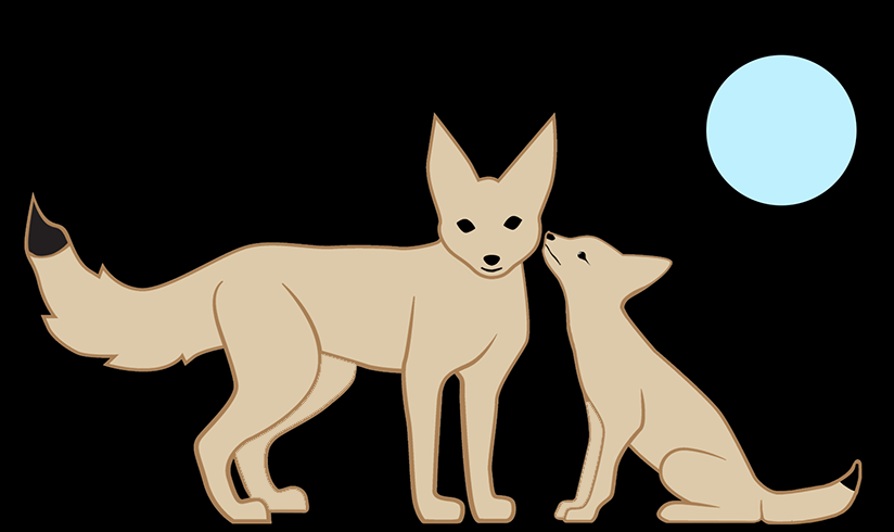 Kit fox and baby