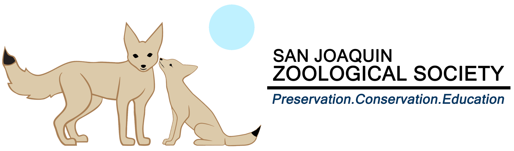 two kit foxes under moon