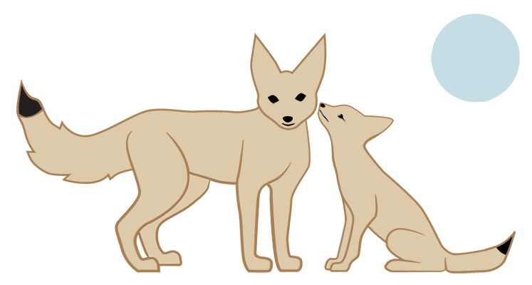 kit foxes under moon